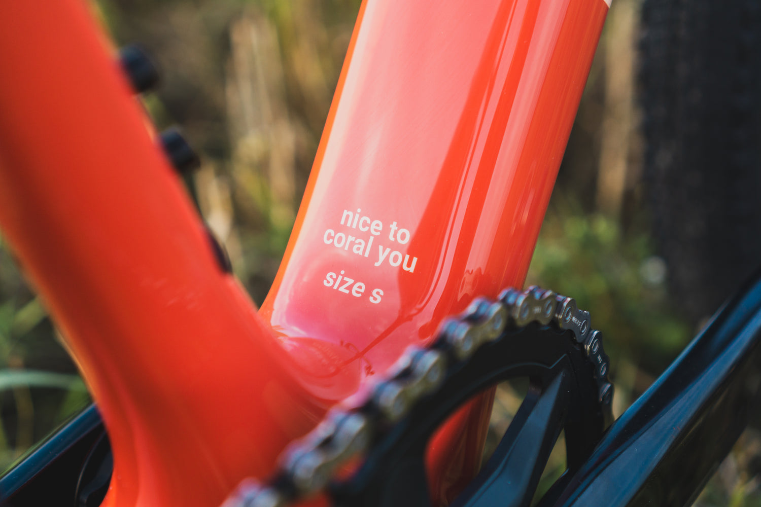 GRIND GR1ST CUSTOM BUILD RIVAL AXS MULLET DANDY HORSE CARBON WHEELS ZIPP 1