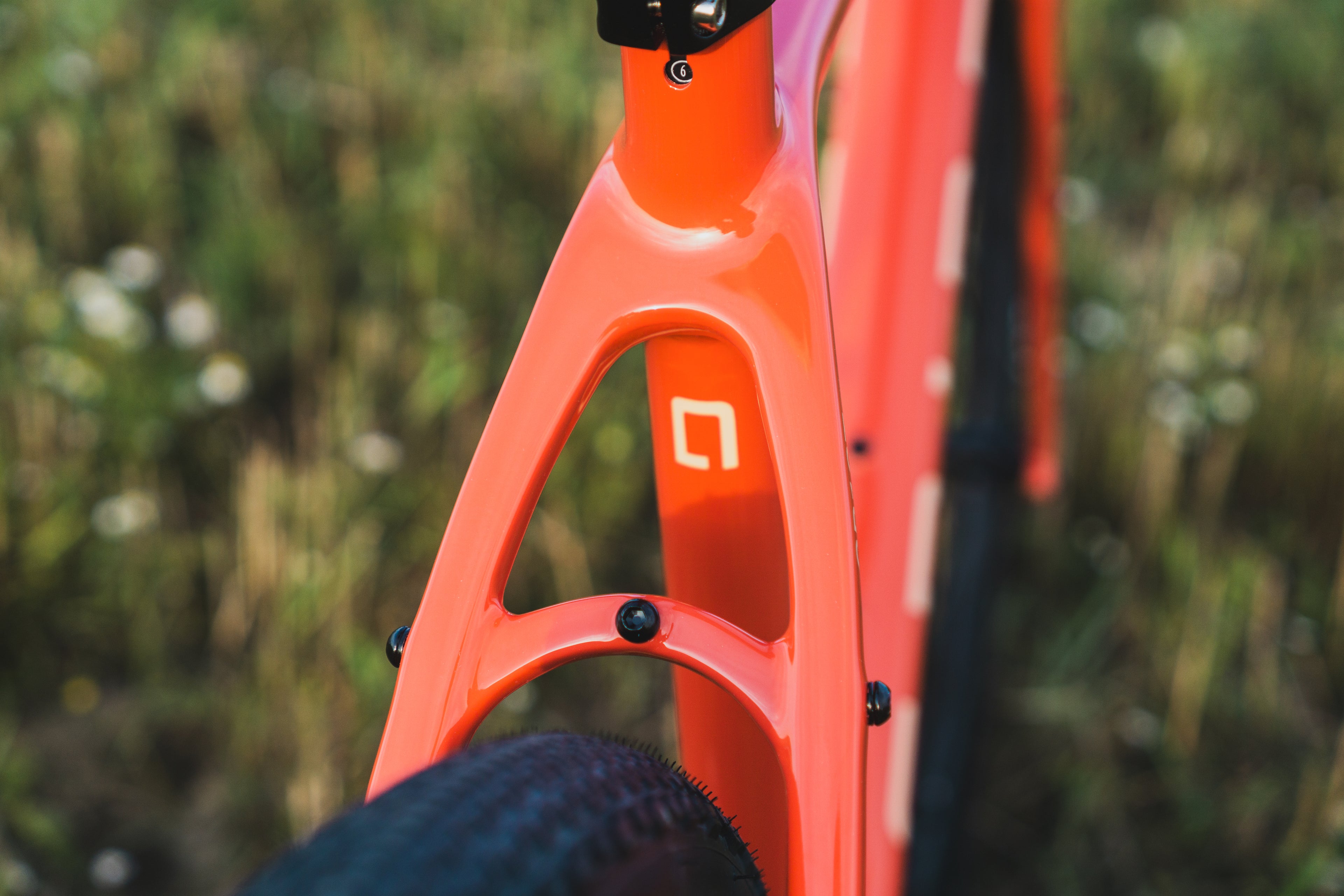GRIND GR1ST CUSTOM BUILD RIVAL AXS MULLET DANDY HORSE CARBON WHEELS ZIPP 11