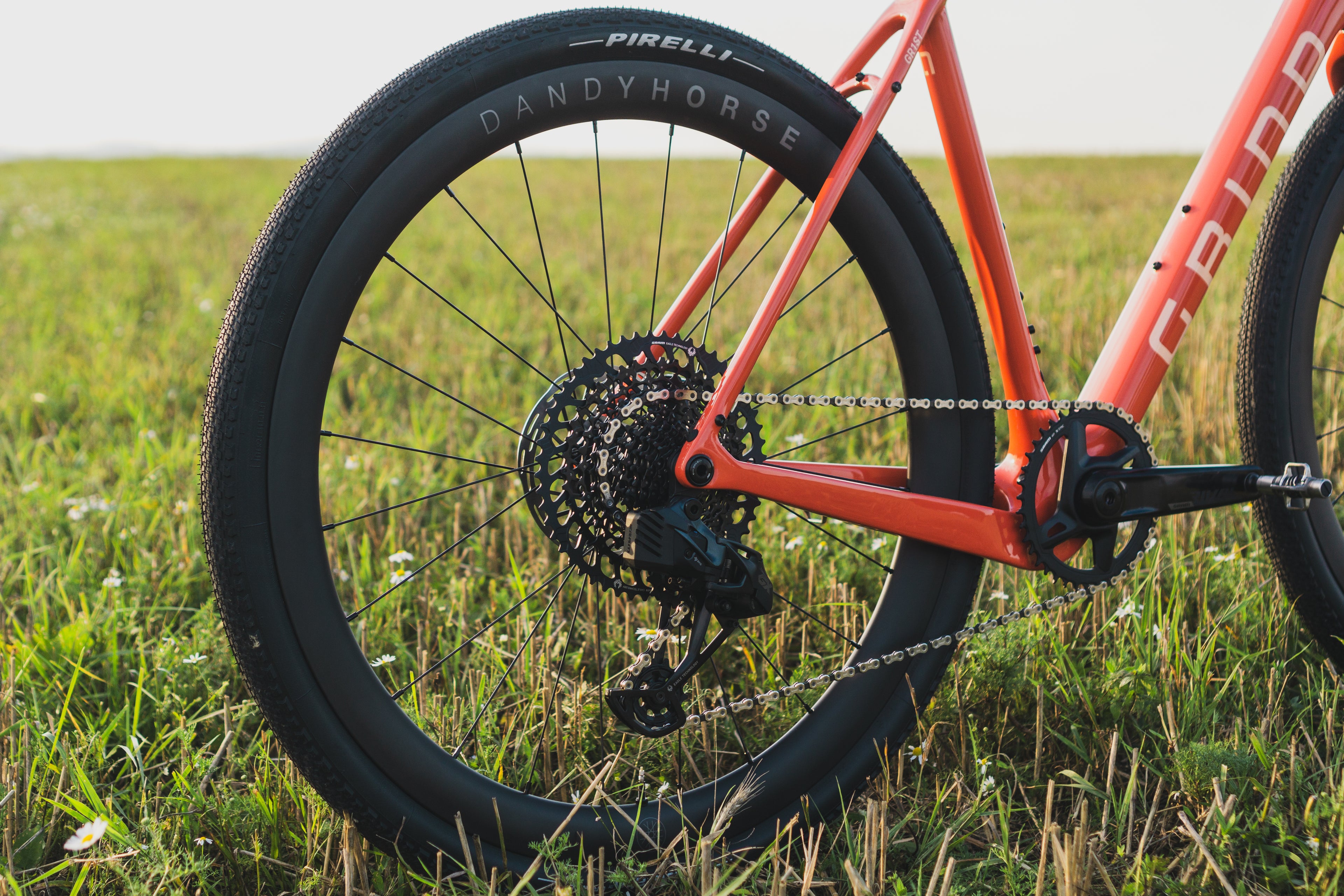 GRIND GR1ST CUSTOM BUILD RIVAL AXS MULLET DANDY HORSE CARBON WHEELS ZIPP 8